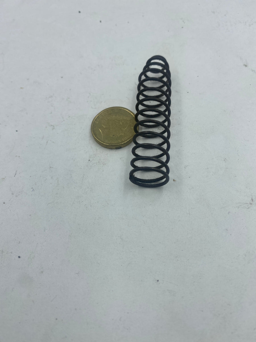 999932 - M/CYLINDER SPRING